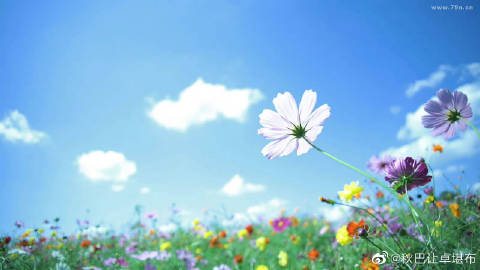 92482e1agy1hfelt6gy7wj218g0p044t.jpg