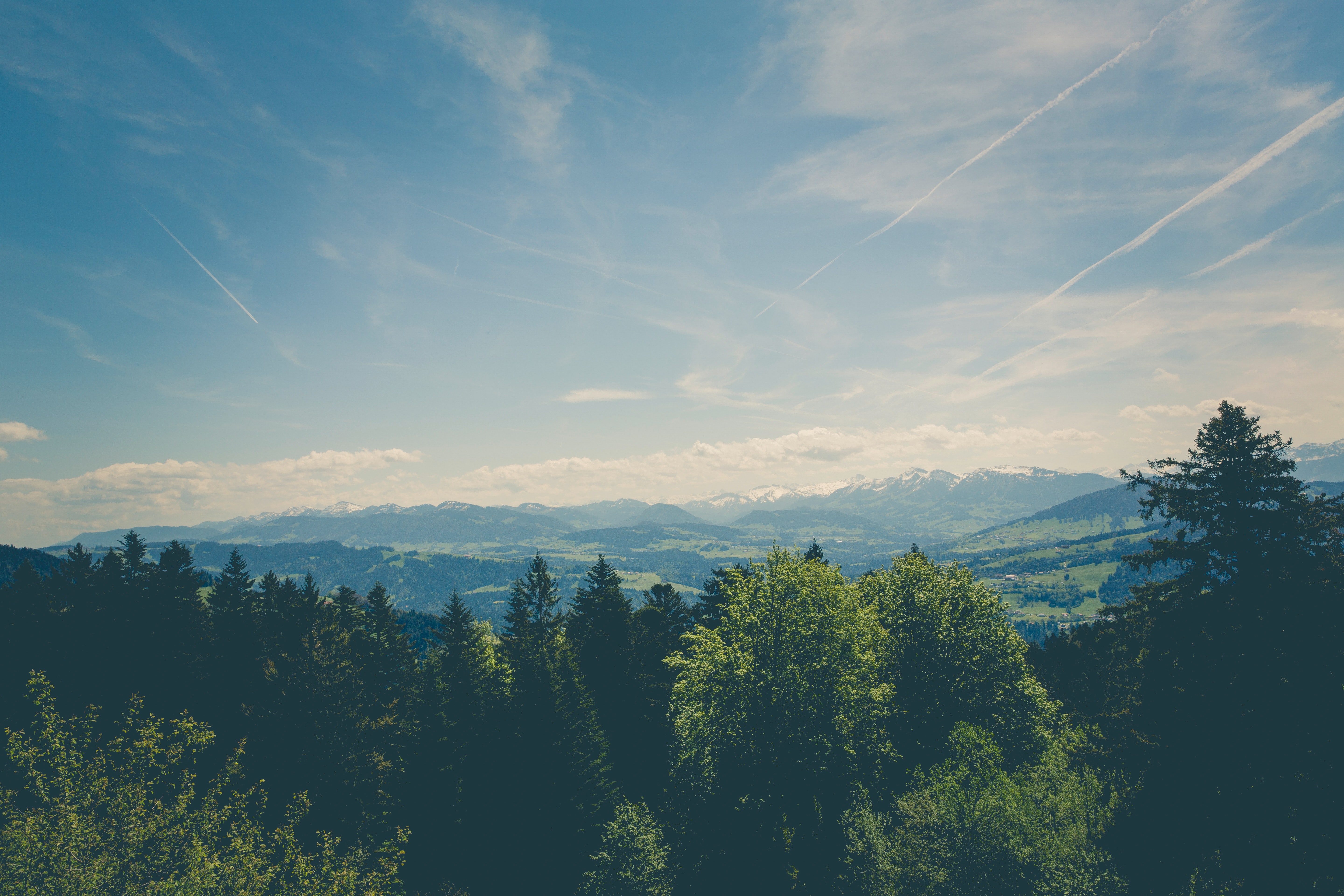 pexels-markus-spiske-129105.jpg